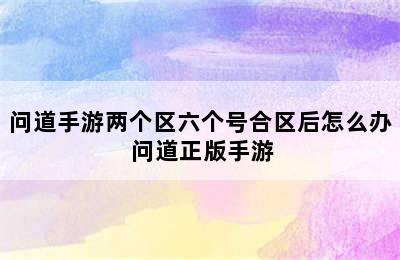 问道手游两个区六个号合区后怎么办 问道正版手游